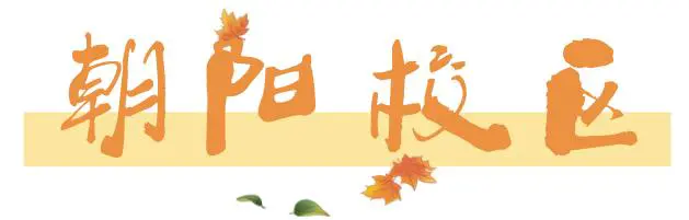 篮球教练如何制定总决赛的长期发展计划_2